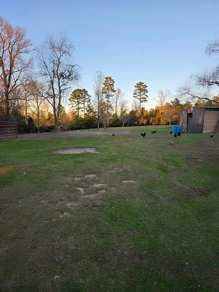 3017 N Hwy 87 Newton, TX 75966