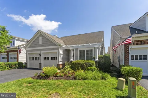 8404 MOUNTAIN LARKSPUR