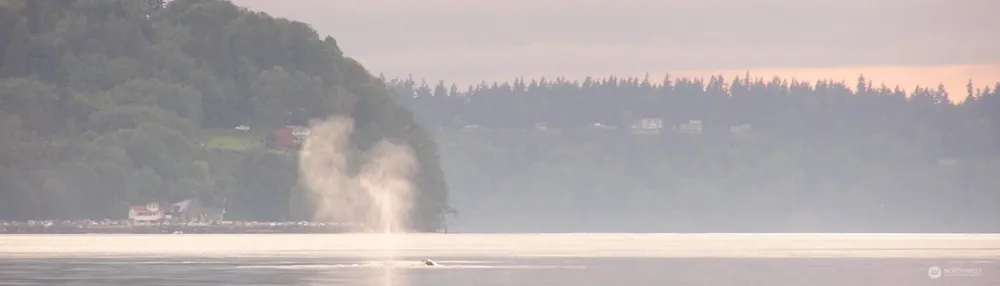 41 H S Beach Way Hat Island, WA 98206