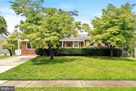 25 BLACK PINE DRIVE
