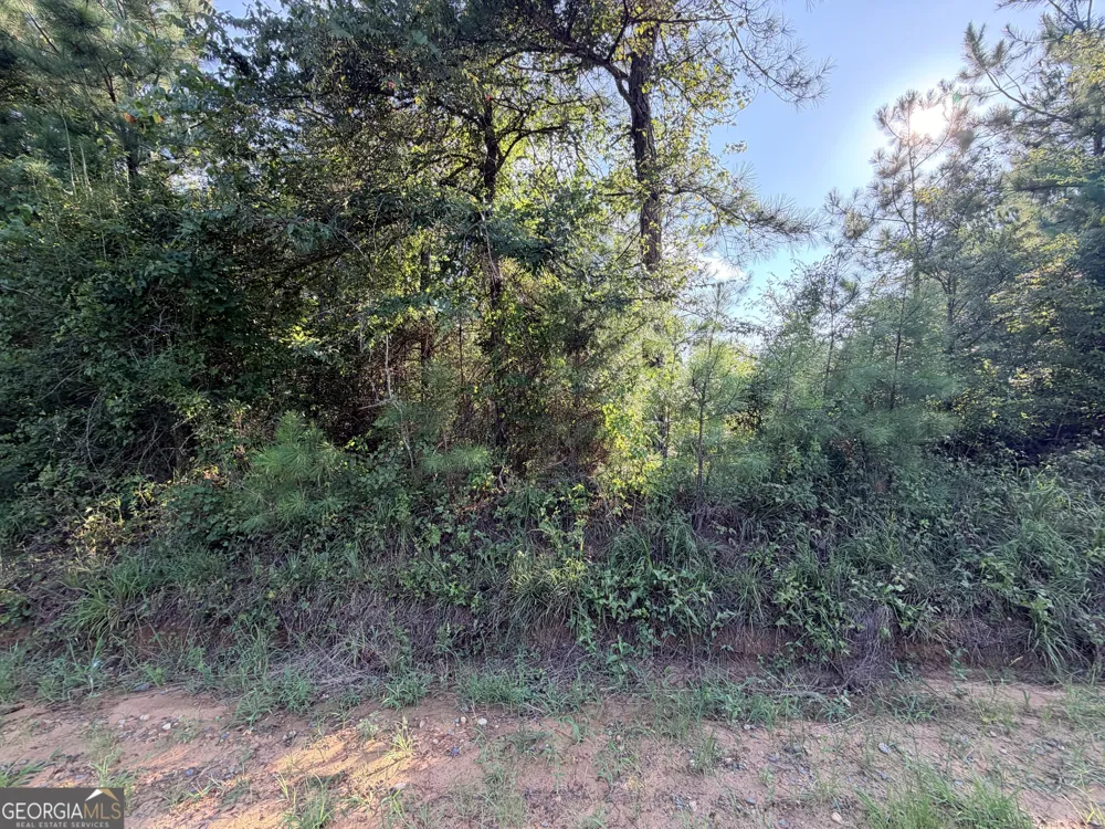 0 Hollis RD Roberta, GA 31078