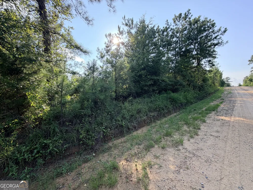 0 Hollis RD Roberta, GA 31078