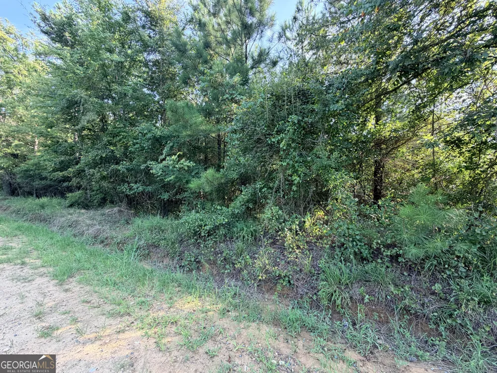0 Hollis RD Roberta, GA 31078