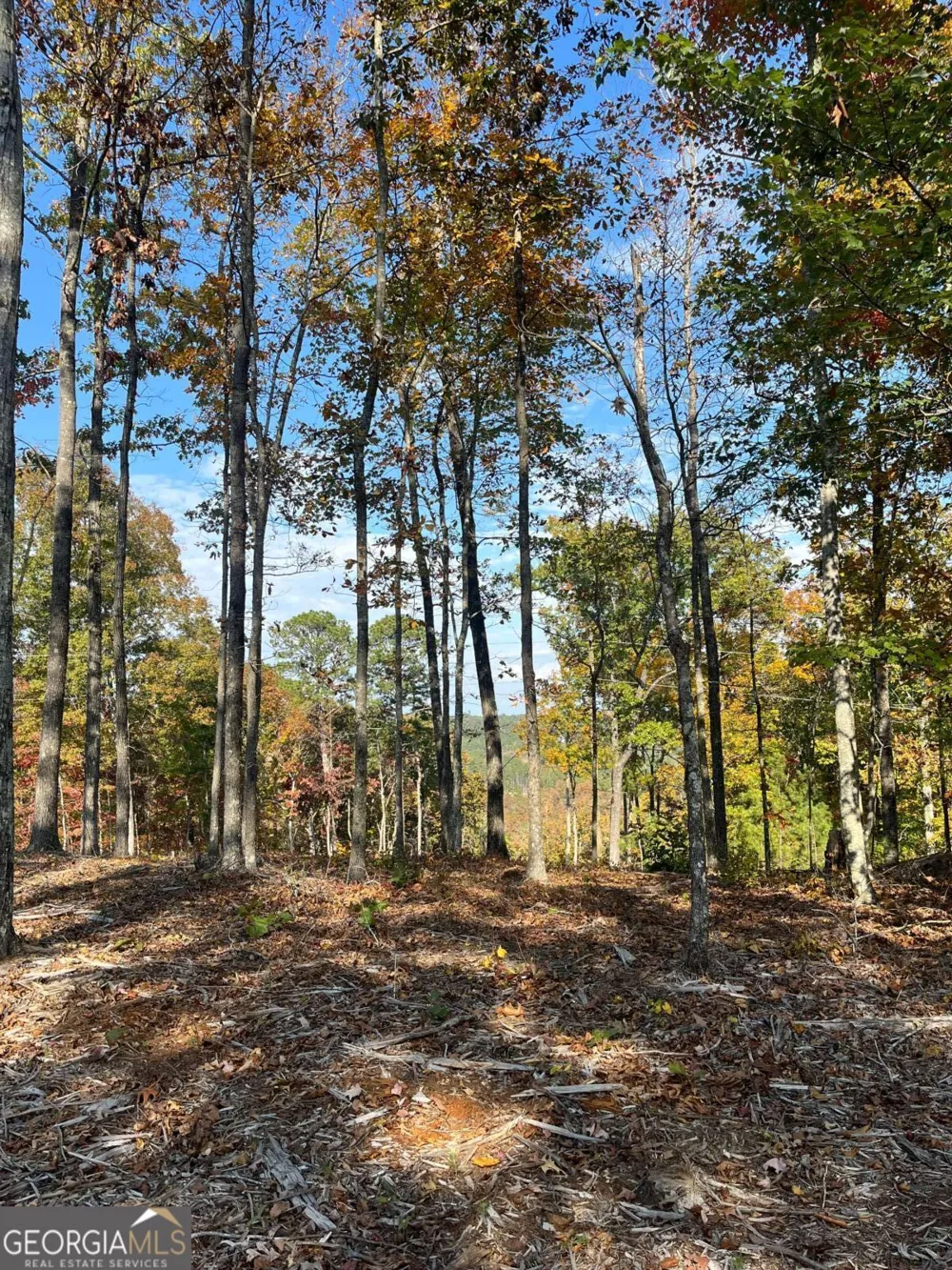 LOT 292 Creekside XING Talking Rock, GA 30175