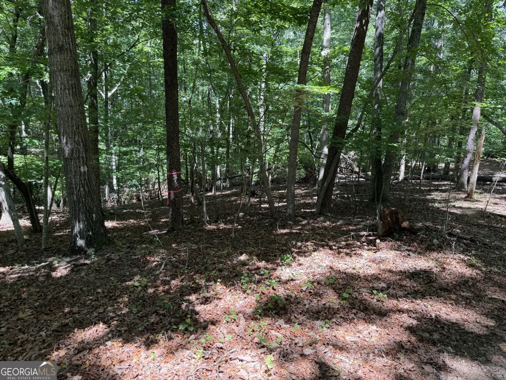 7 Ivy Hills DR Cleveland, GA 30528