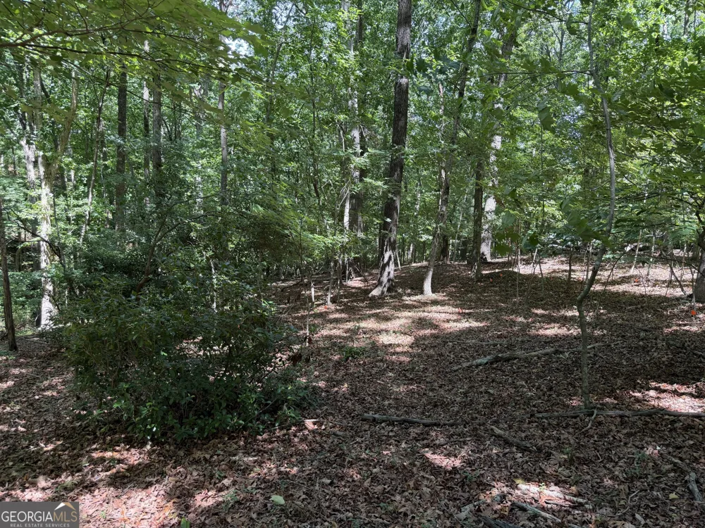 7 Ivy Hills DR Cleveland, GA 30528