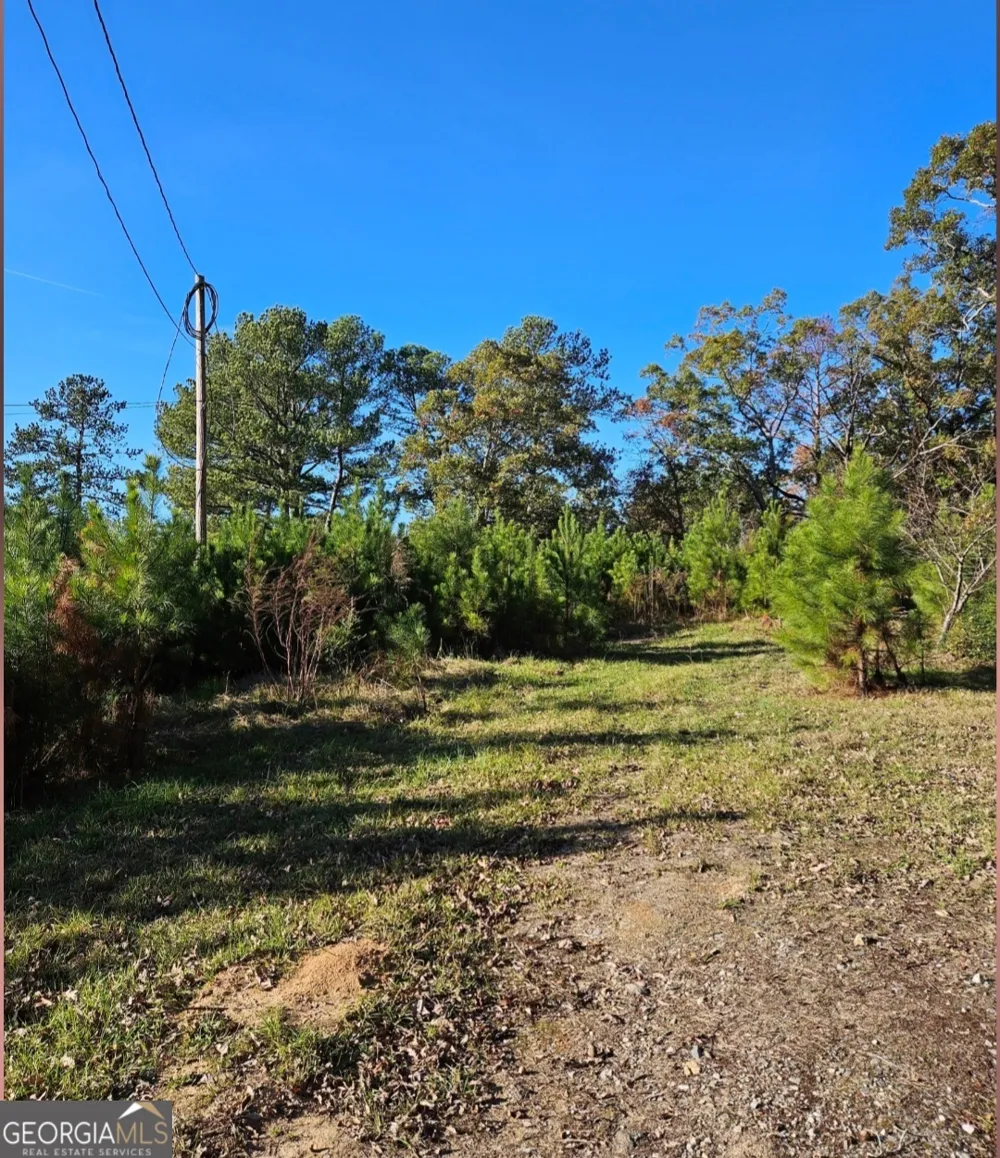 1993 Smyrna RD SW Conyers, GA 30094
