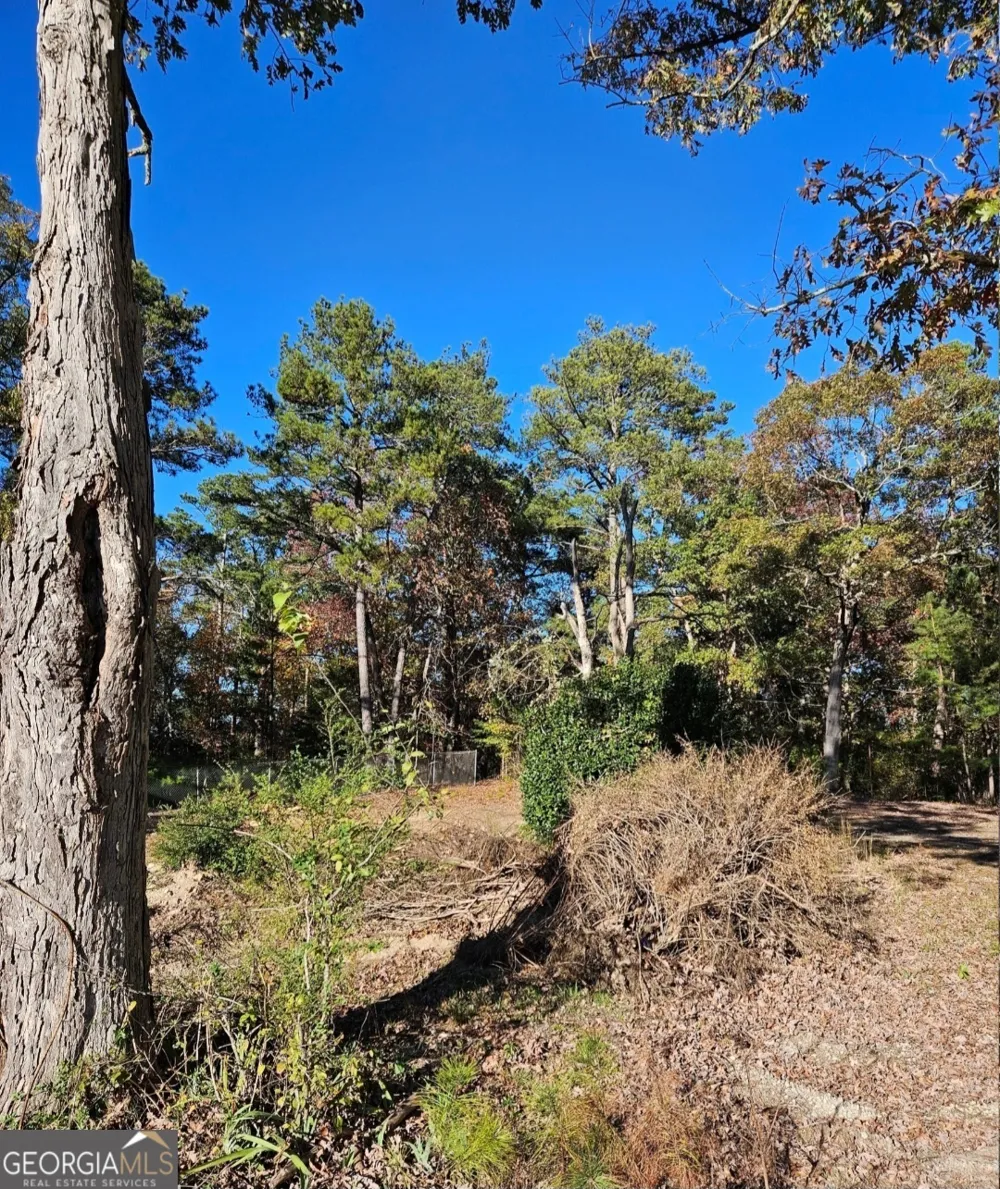 1993 Smyrna RD SW Conyers, GA 30094