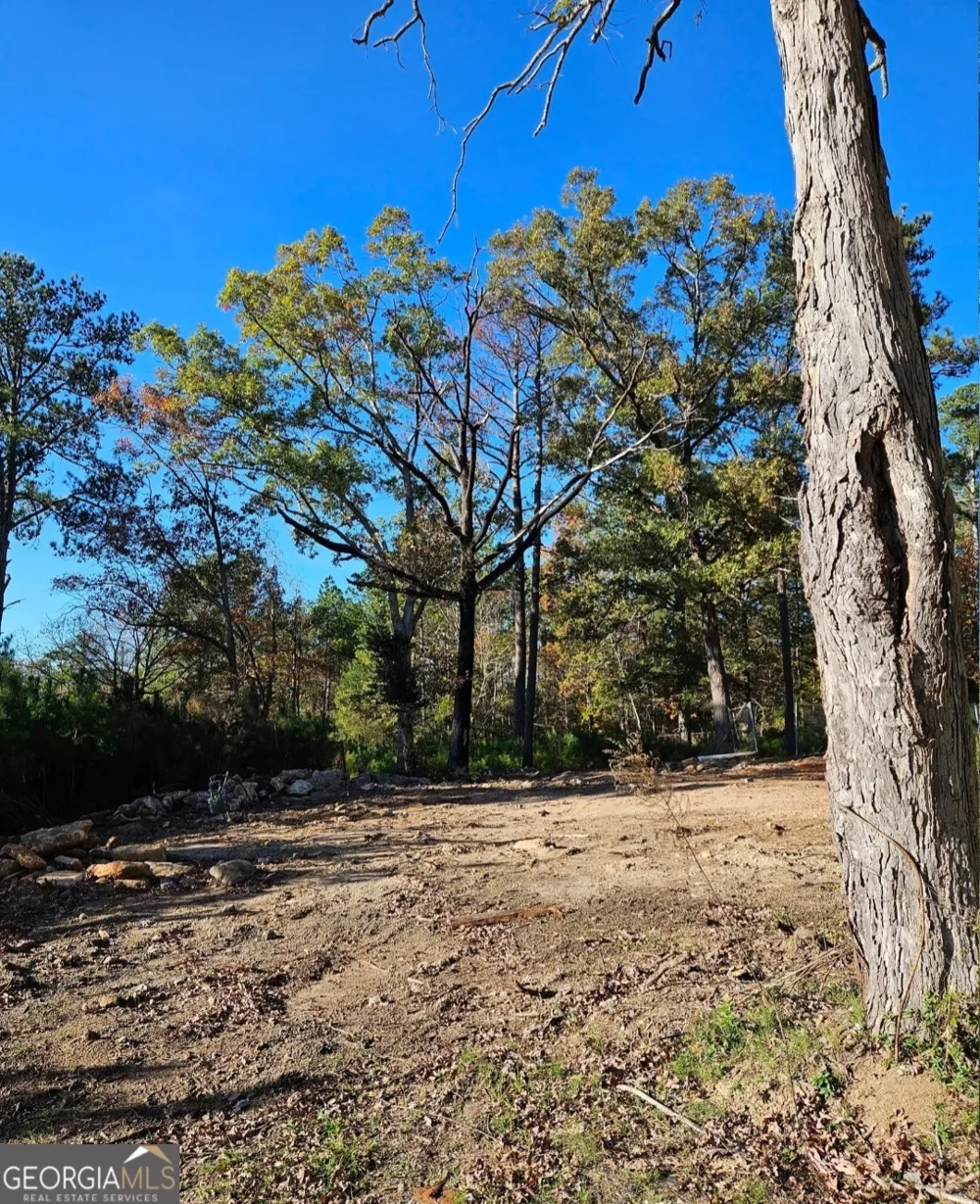 1993 Smyrna RD SW Conyers, GA 30094