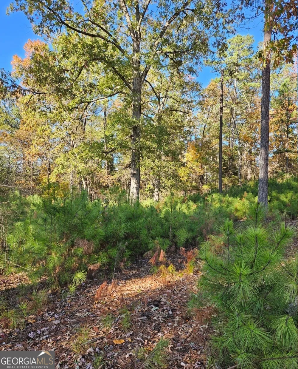 1993 Smyrna RD SW Conyers, GA 30094