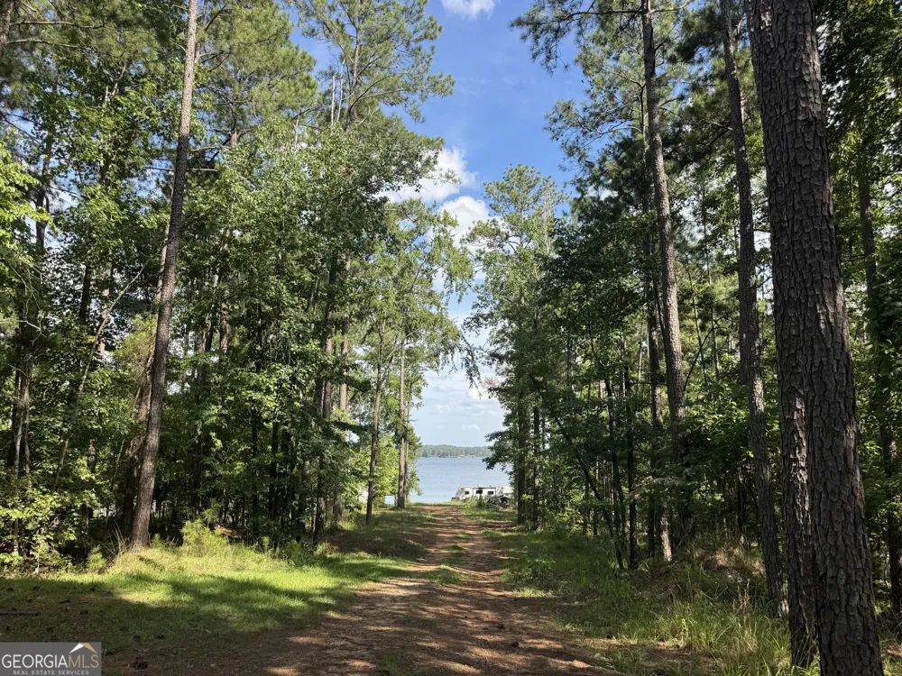 4206 Big Water East Sparta, GA 31087