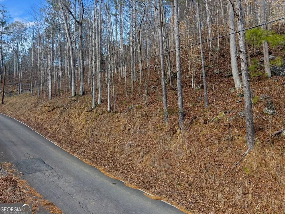 LOT 2965 Monticello DR Ellijay, GA 30540