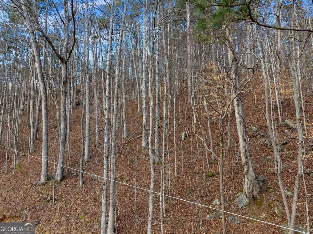 LOT 2965 Monticello DR Ellijay, GA 30540