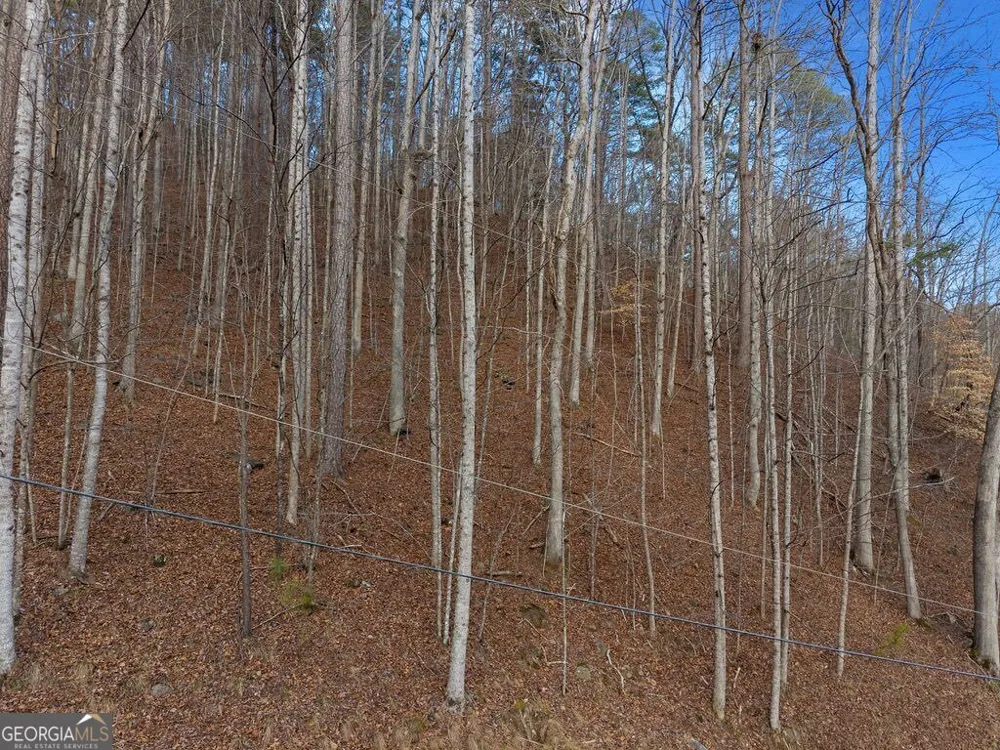 LOT 2965 Monticello DR Ellijay, GA 30540
