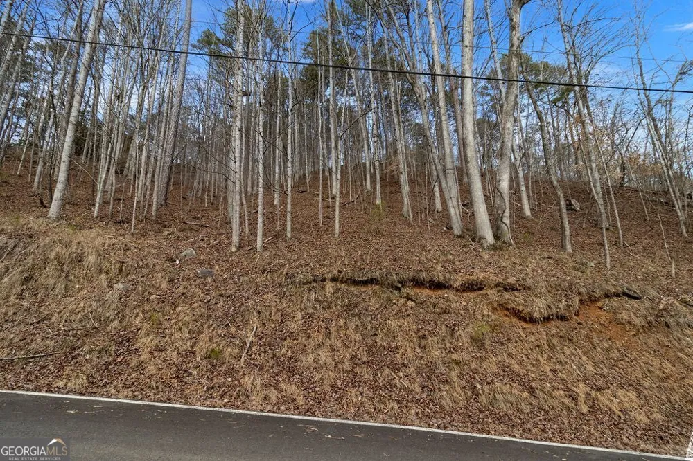 LOT 2965 Monticello DR Ellijay, GA 30540