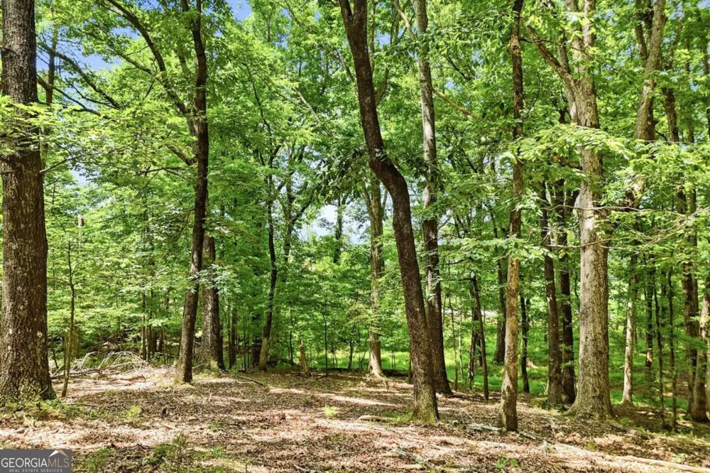35 Quail Walk Jasper, GA 30143