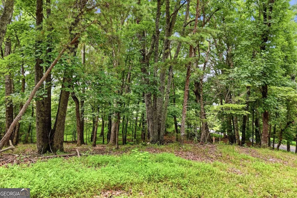 35 Quail Walk Jasper, GA 30143
