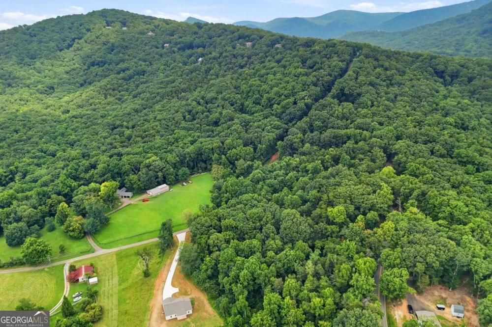 35 Quail Walk Jasper, GA 30143