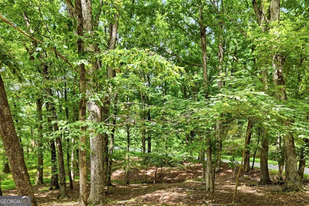 35 Quail Walk Jasper, GA 30143