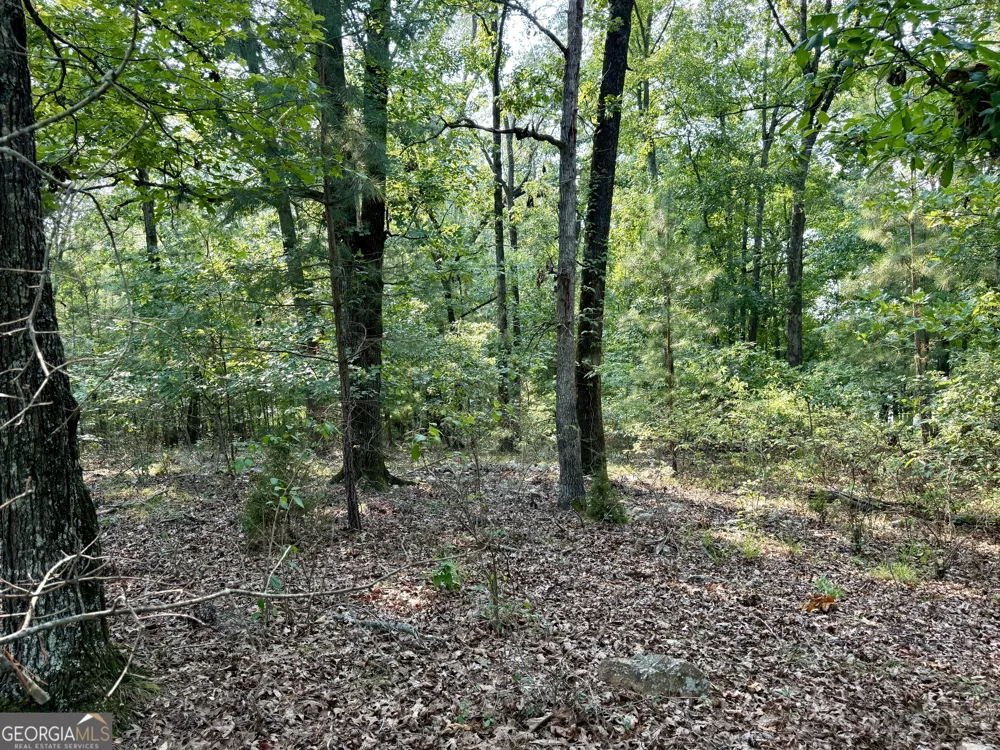 101 Stanton DR Eatonton, GA 31024