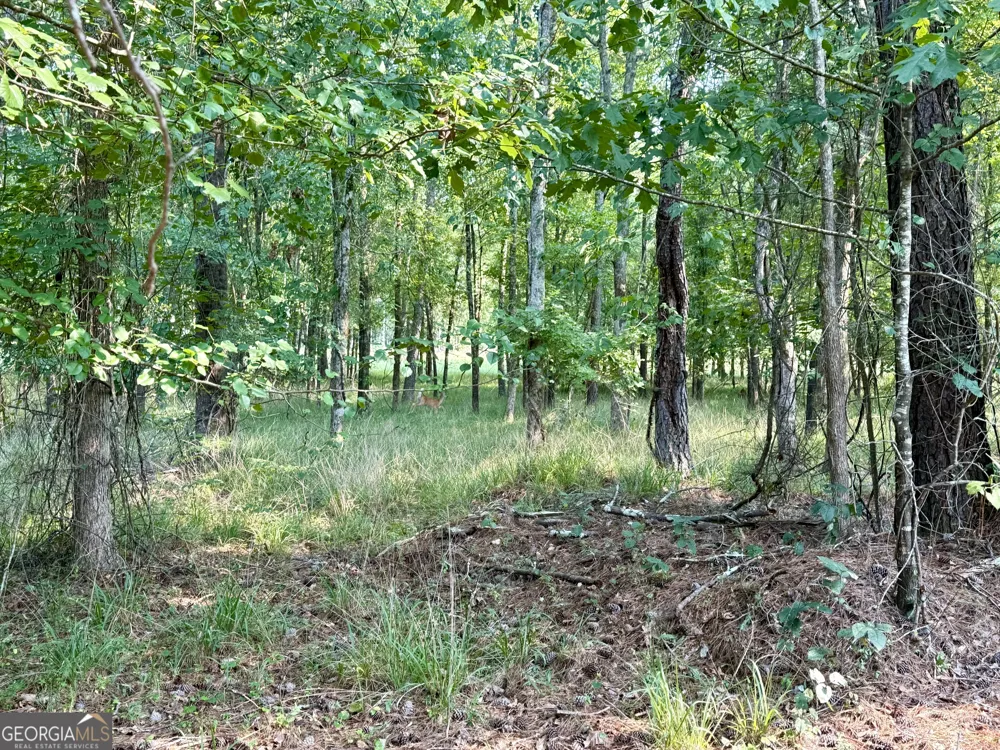 101 Stanton DR Eatonton, GA 31024
