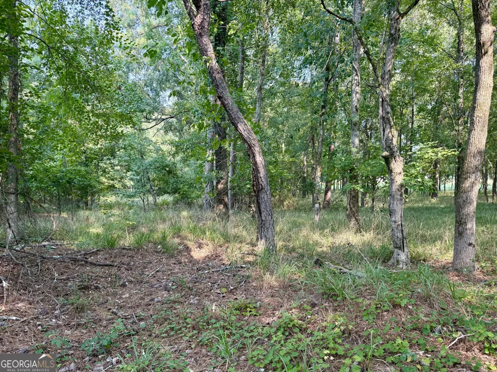 101 Stanton DR Eatonton, GA 31024