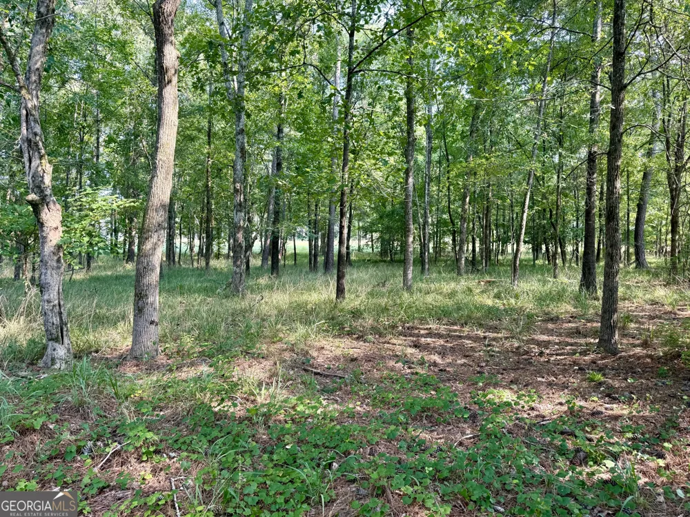 101 Stanton DR Eatonton, GA 31024