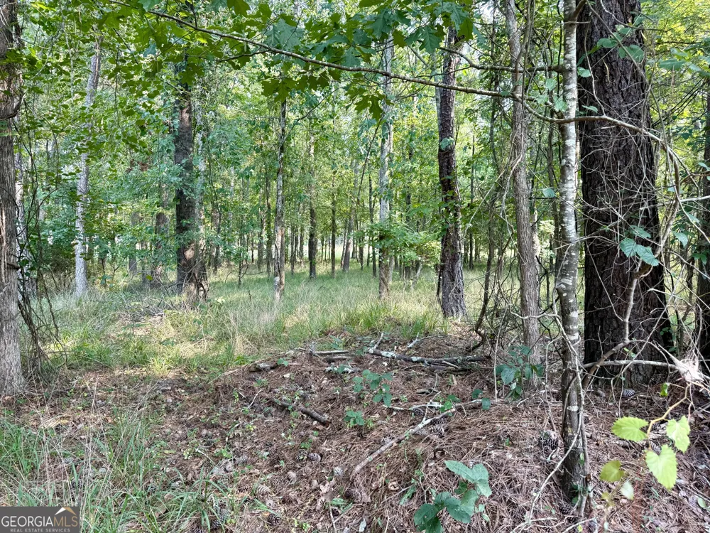 101 Stanton DR Eatonton, GA 31024
