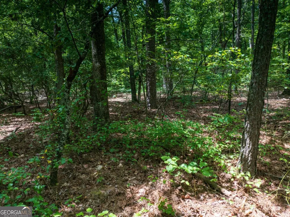 0 Dublin CIR Kingston, GA 30145
