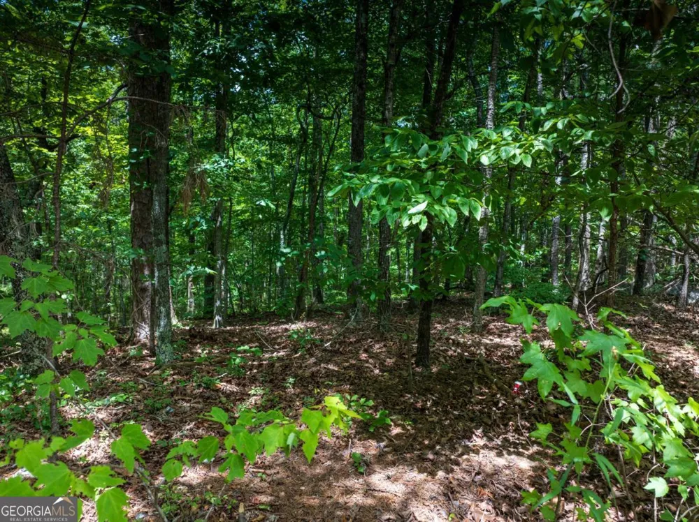 0 Dublin CIR Kingston, GA 30145
