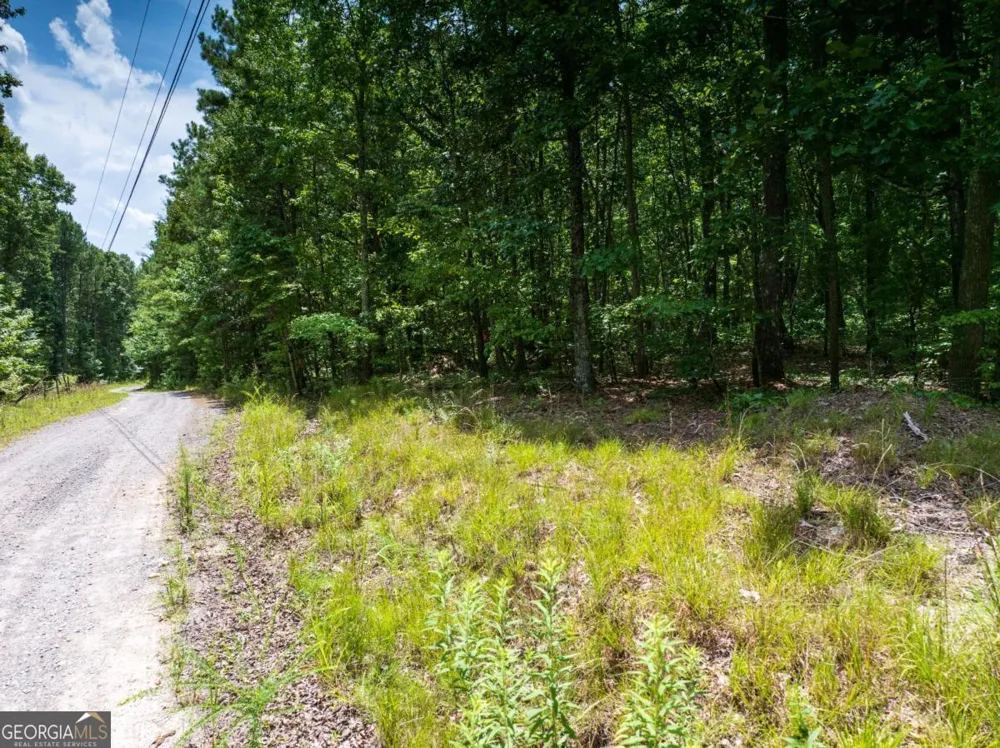 0 Dublin CIR Kingston, GA 30145