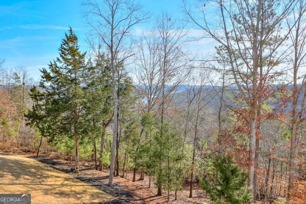 7410 Crestline DR Dawsonville, GA 30534