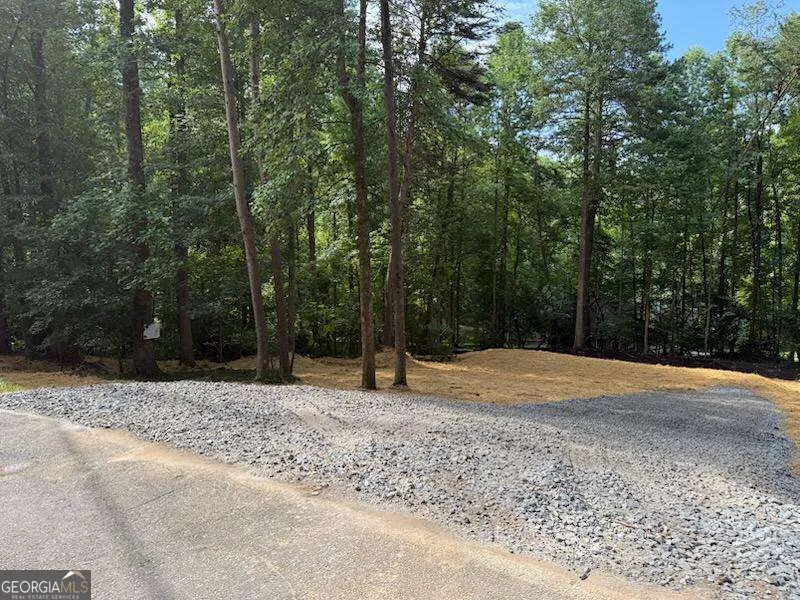 LOT 195 Shenendoa DR Ellijay, GA 30540