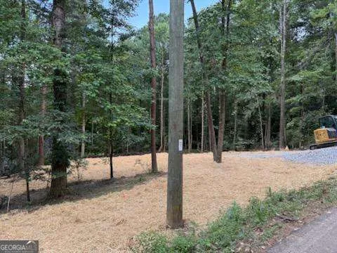 LOT 195 Shenendoa DR Ellijay, GA 30540