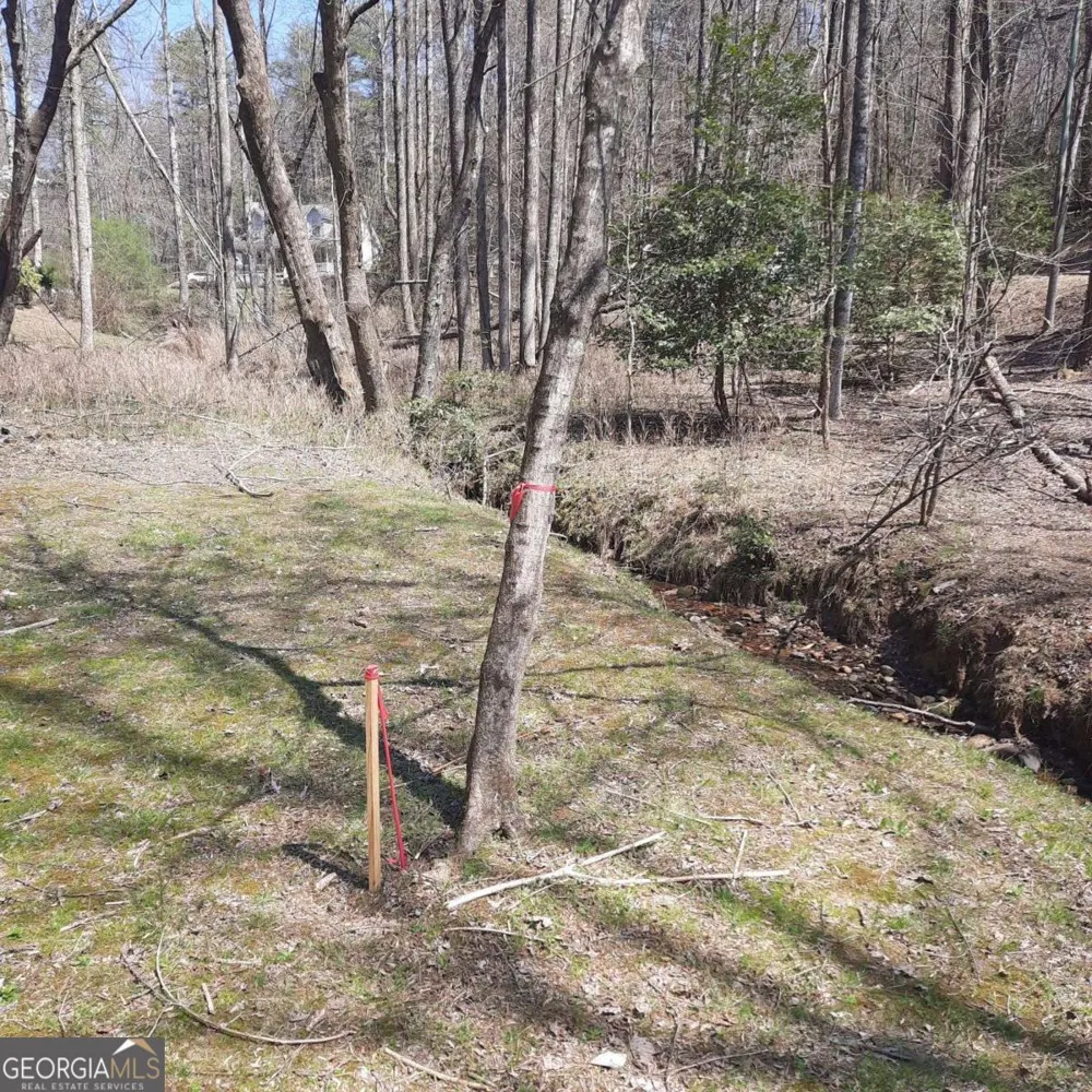 LOT 195 Shenendoa DR Ellijay, GA 30540
