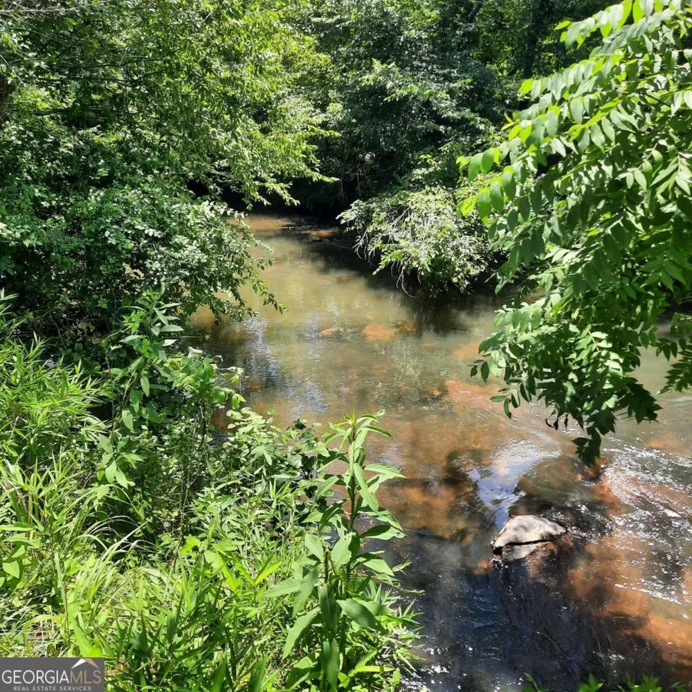 LOT 195 Shenendoa DR Ellijay, GA 30540