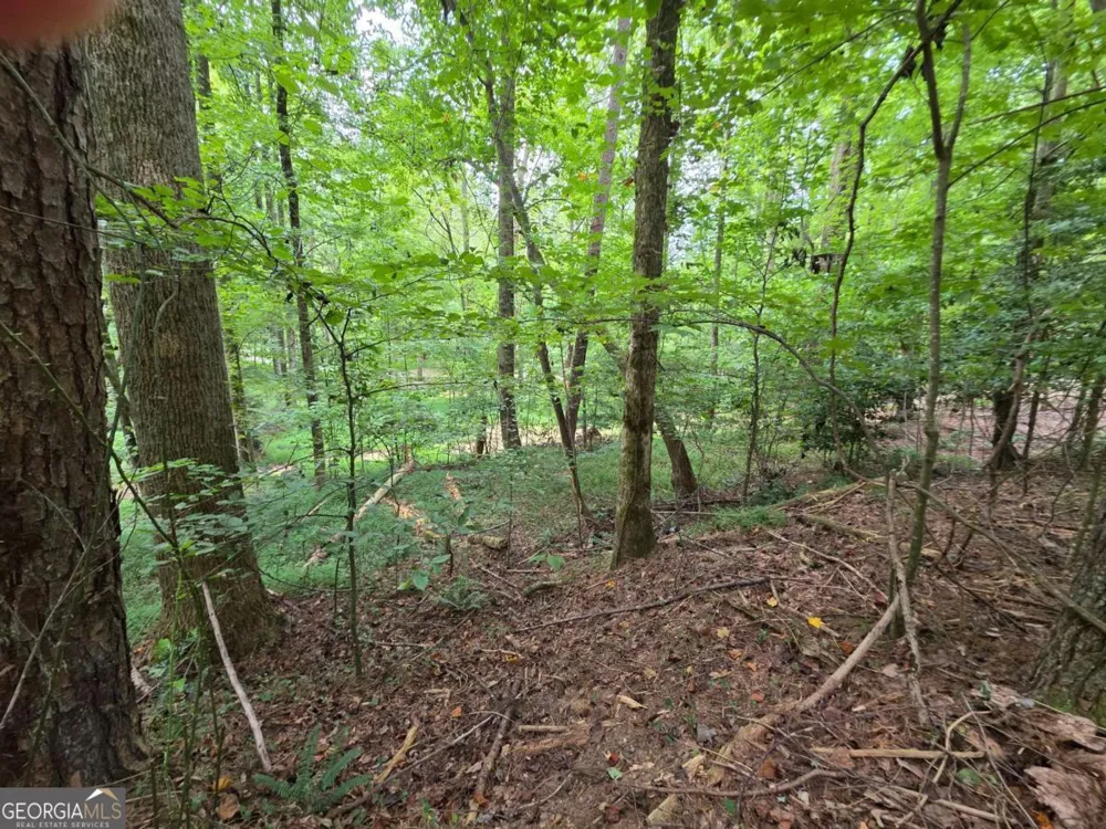 LOT 195 Shenendoa DR Ellijay, GA 30540