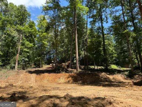 LOT 195 Shenendoa DR Ellijay, GA 30540