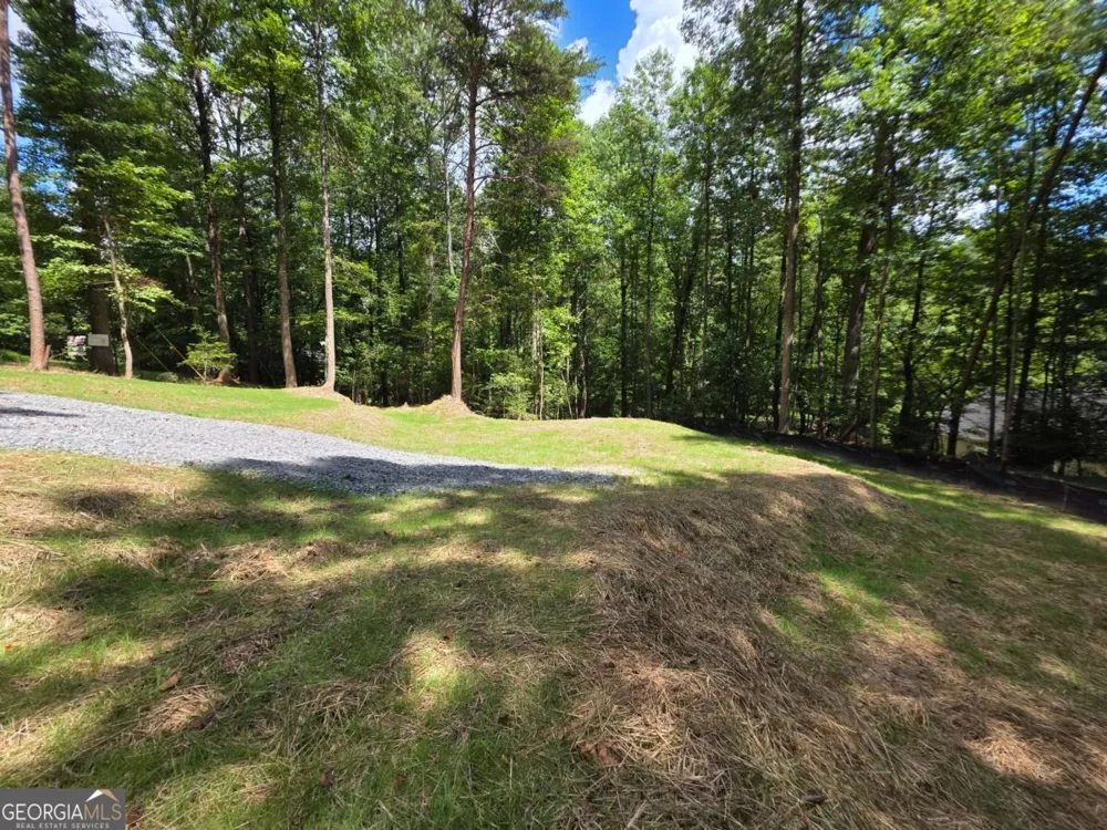 LOT 195 Shenendoa DR Ellijay, GA 30540