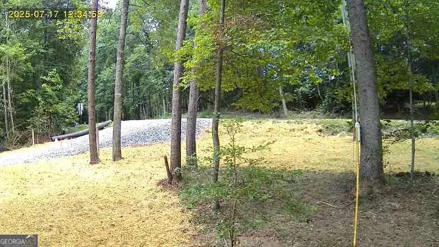 LOT 195 Shenendoa DR Ellijay, GA 30540