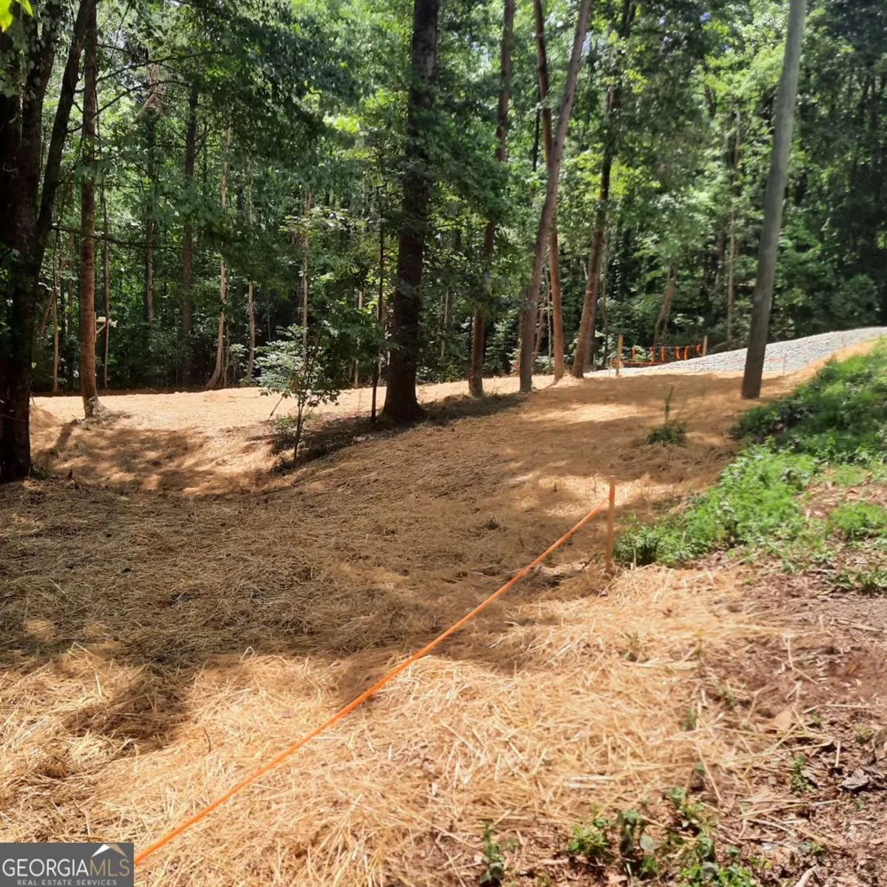 LOT 195 Shenendoa DR Ellijay, GA 30540