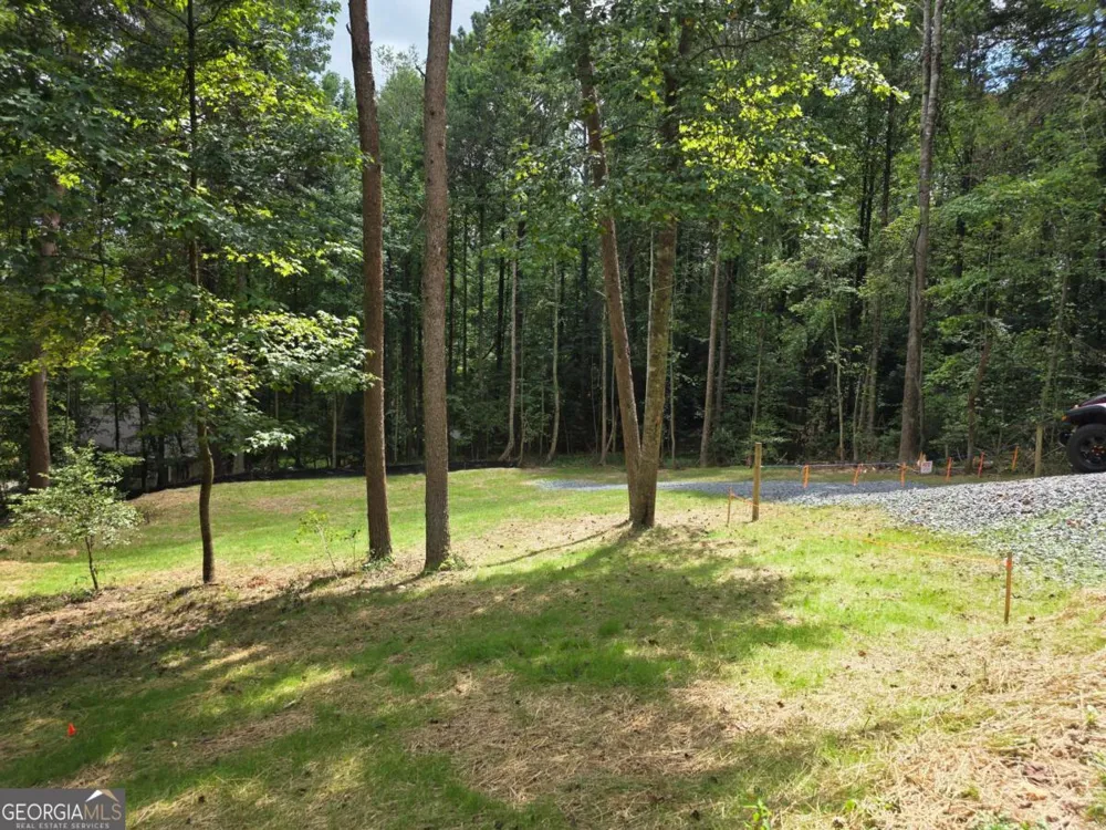 LOT 195 Shenendoa DR Ellijay, GA 30540