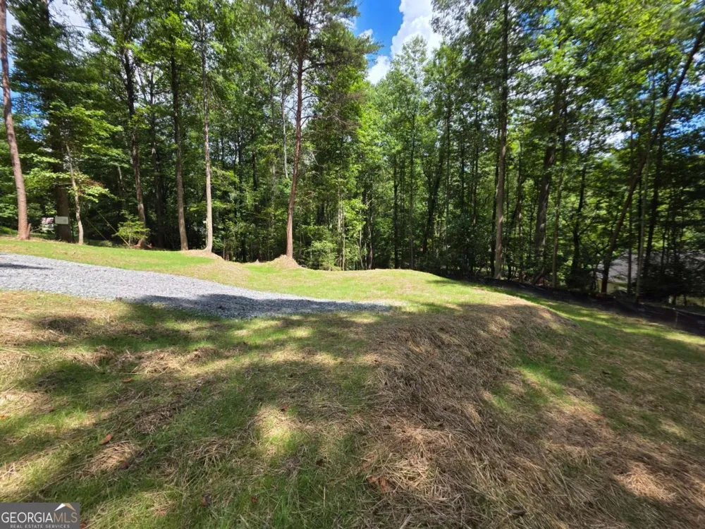 LOT 195 Shenendoa DR Ellijay, GA 30540