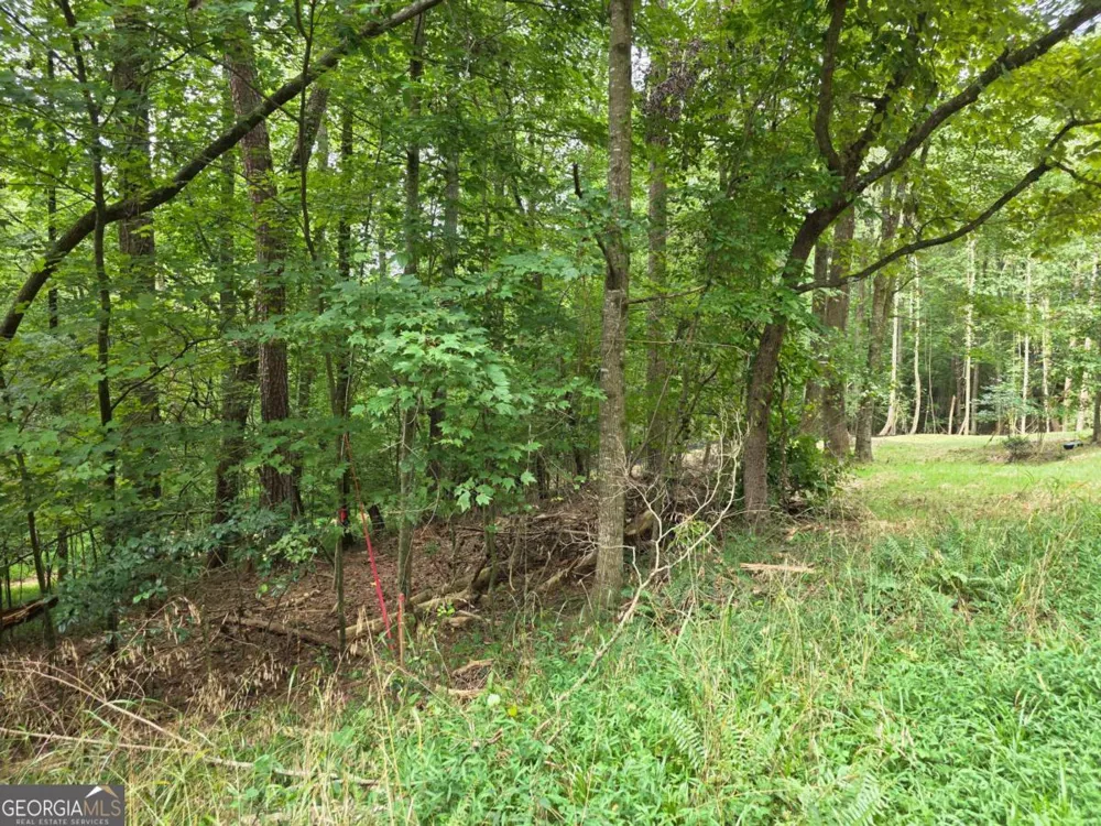 LOT 195 Shenendoa DR Ellijay, GA 30540