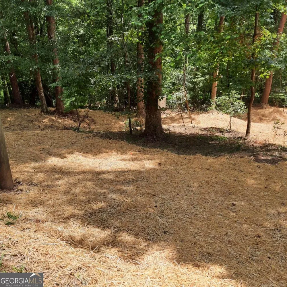 LOT 195 Shenendoa DR Ellijay, GA 30540