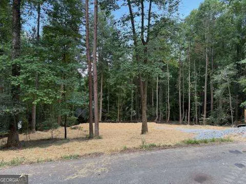 LOT 195 Shenendoa DR