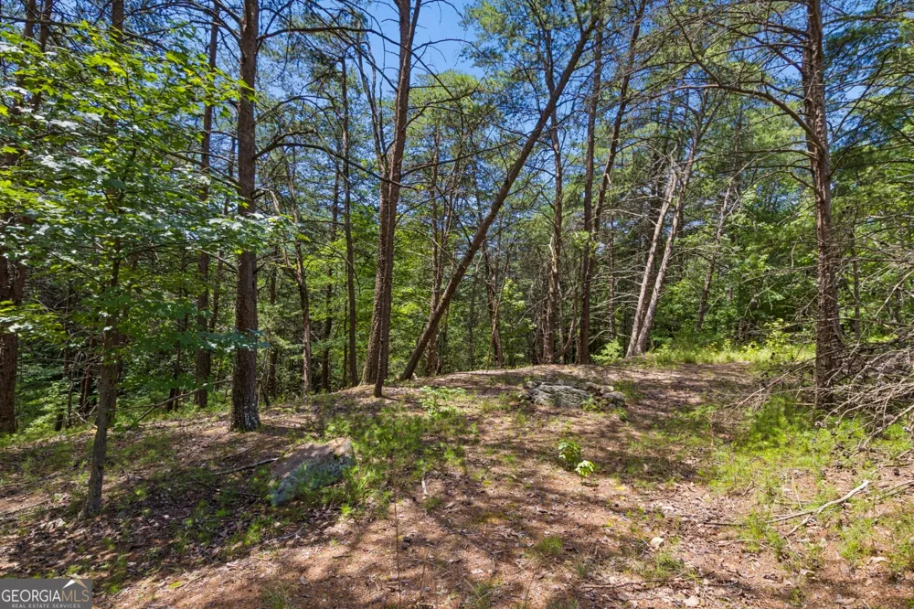 2709 Jamerson RD Marietta, GA 30066