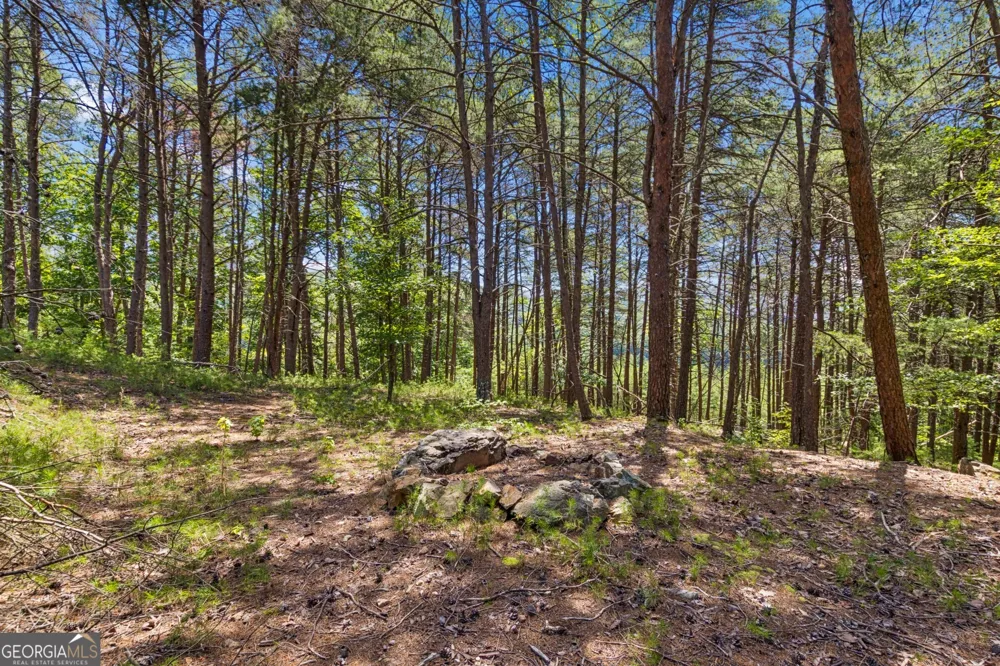 2709 Jamerson RD Marietta, GA 30066