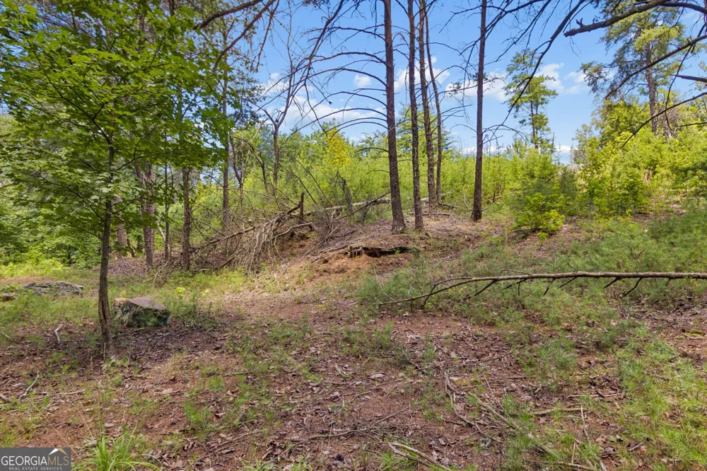 2709 Jamerson RD Marietta, GA 30066