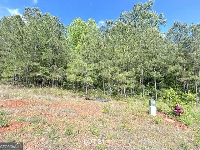 154 Oakdale WAY Temple, GA 30179